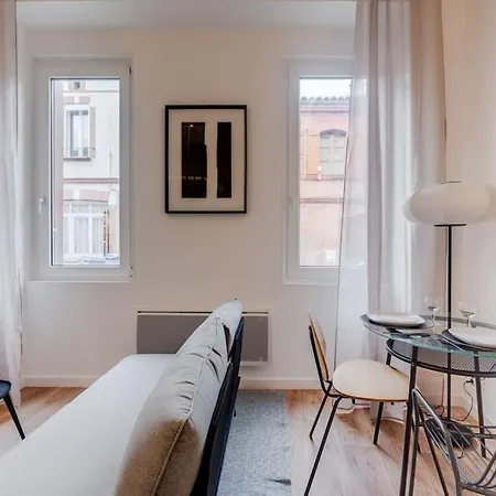 Le Cocon De St Aubin - Au Coeur De 圖盧茲